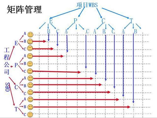 矩阵式管理模式图标