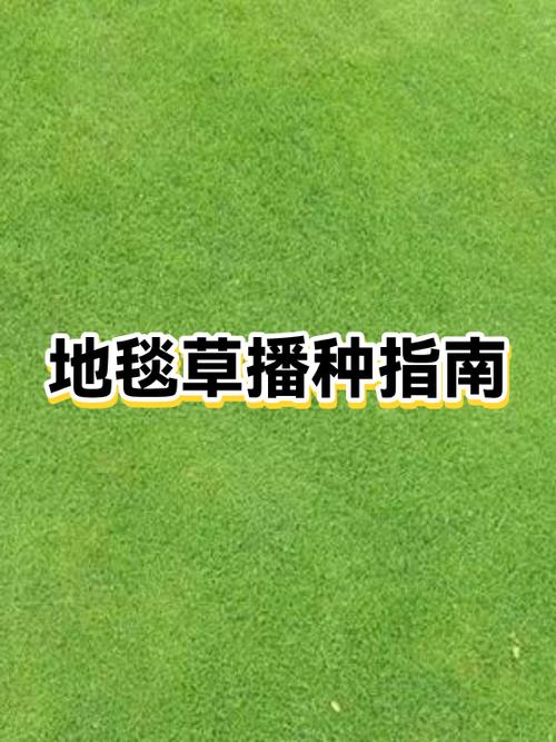 地毯草种子的种植方法