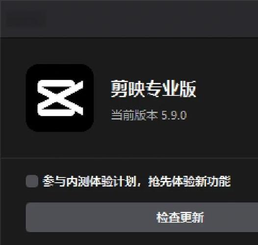 剪映专业版bug图标