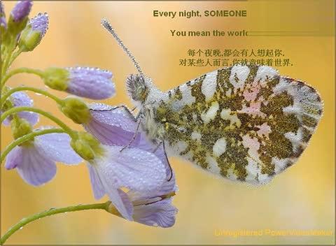 “鸟”的雅称缩略图