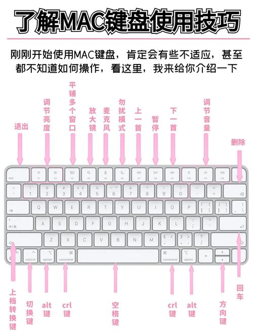 苹果电脑键盘截图按什么键