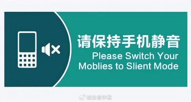 苹果手机总是碰到静音怎么回事