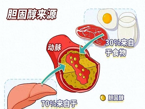 吃什么降脂肪最快图标