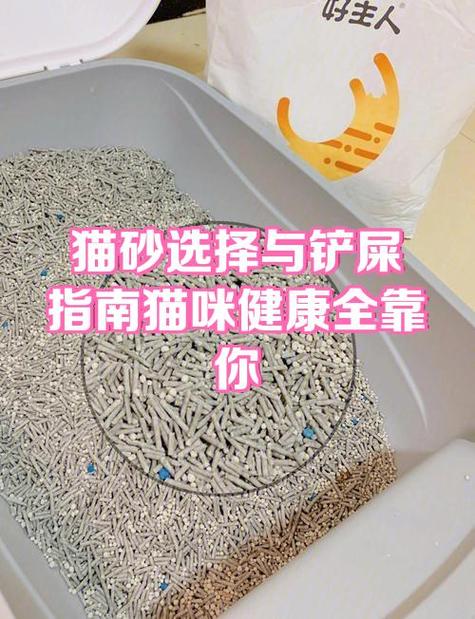 怎么判断猫砂该换了