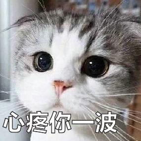 表示心疼对方的表情包