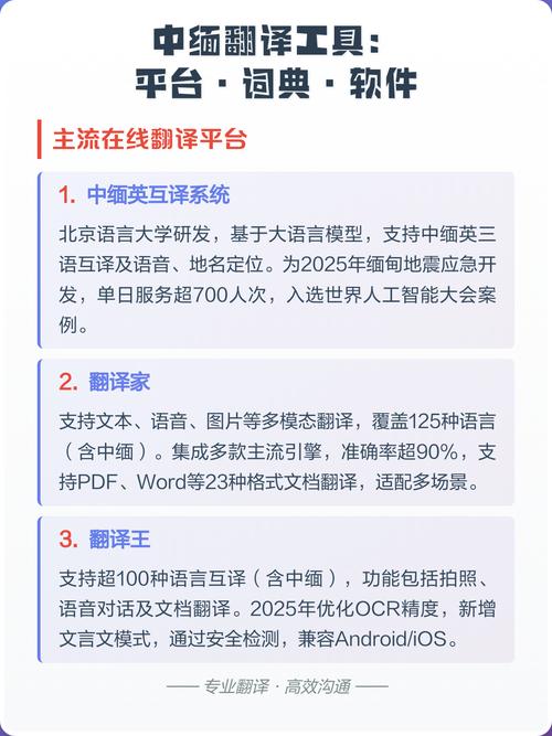 中缅双语词典游戏截图