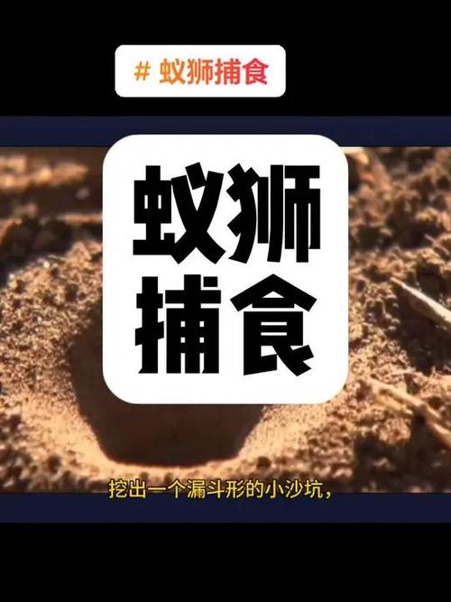 饥荒代码蚁狮游戏截图