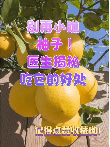 乙肝病毒能吃柚子吗