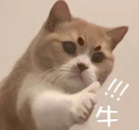 求赞表情包缩略图