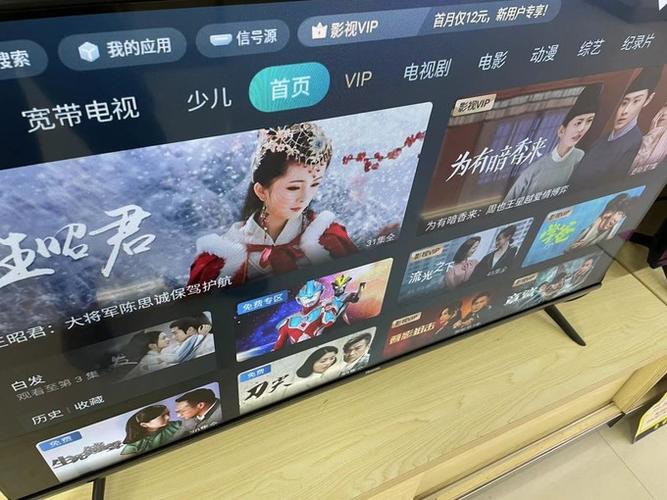 海信电视vip激活码破解游戏截图