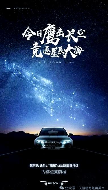 免费星座排盘游戏截图