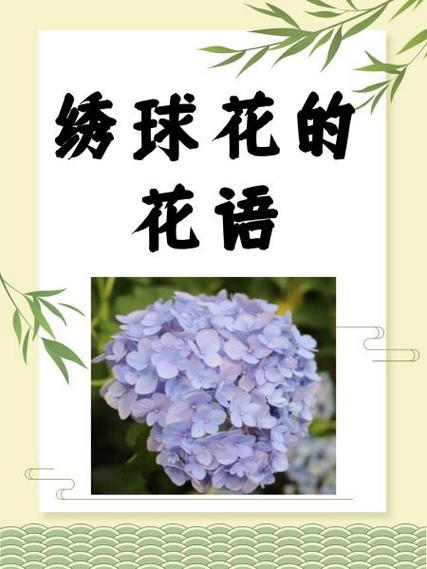 我的送花记录图标