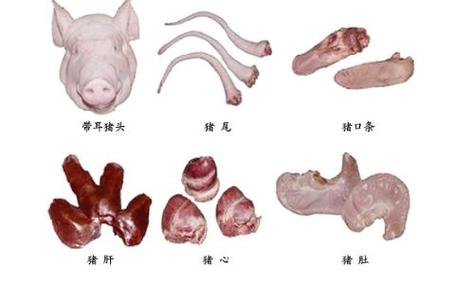 猪副产品包括哪些