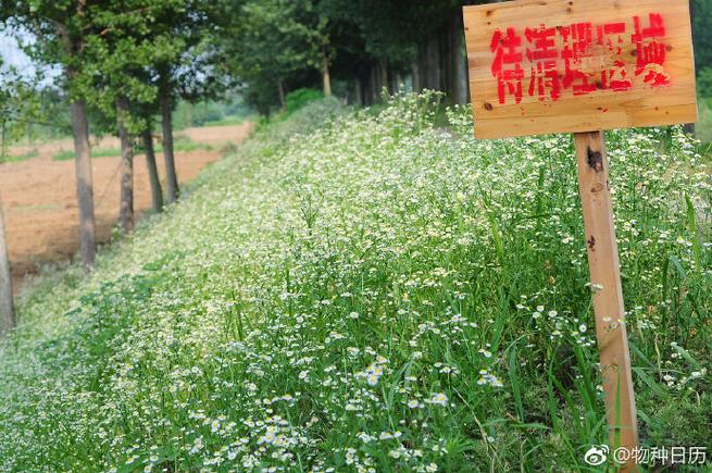 蓬荜的本义