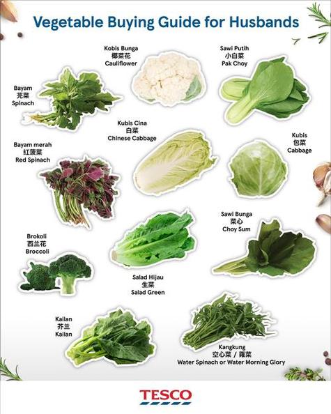 菜种类大全100种图标
