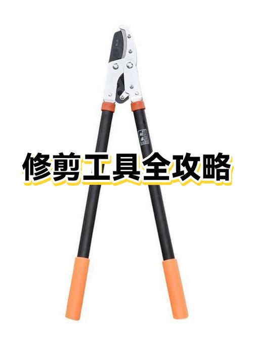 理发工具全套介绍图标