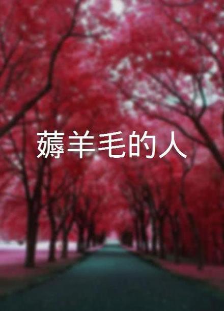 爱薅羊毛的人缩略图