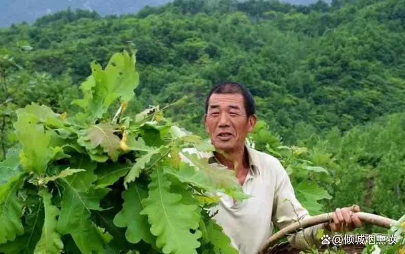 农村致富商机缩略图