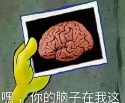 脑回路是什么意思是傻吗