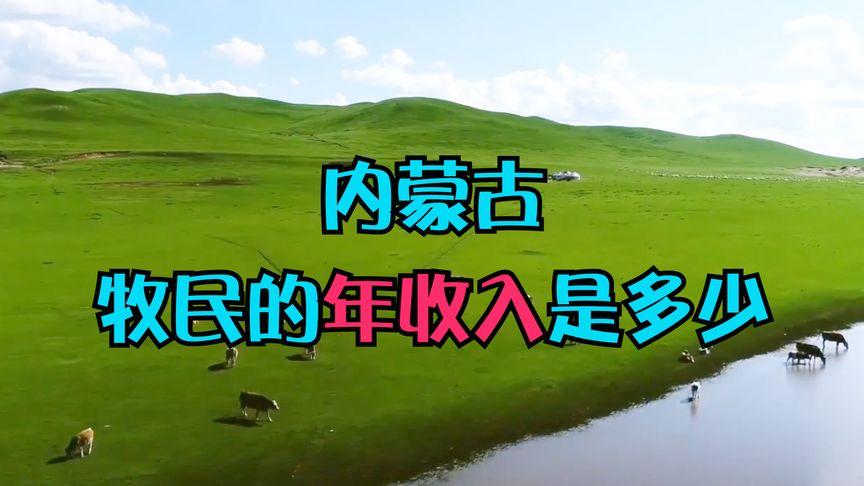 牧民一年收入多少图标