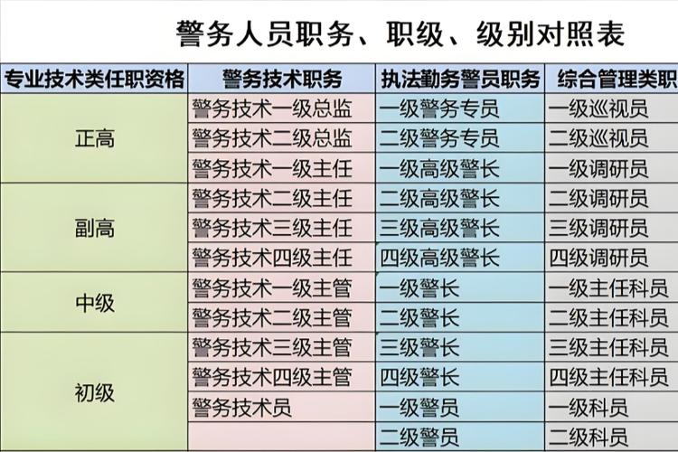 首席安全官是什么职位游戏截图