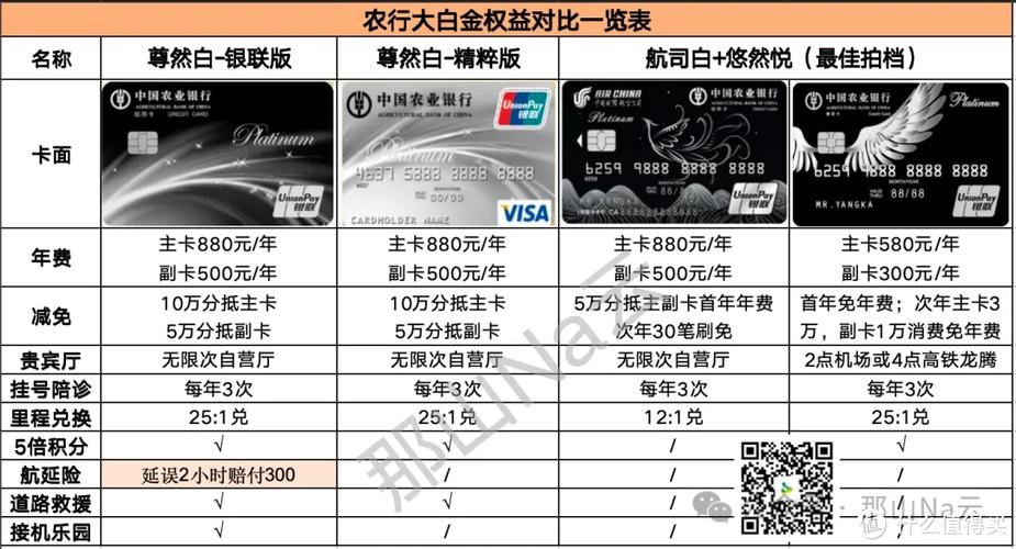 农业银行vip标准游戏截图