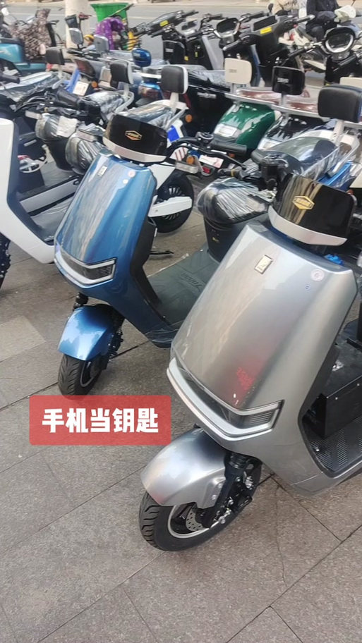 五星钻豹电动车锁咋开