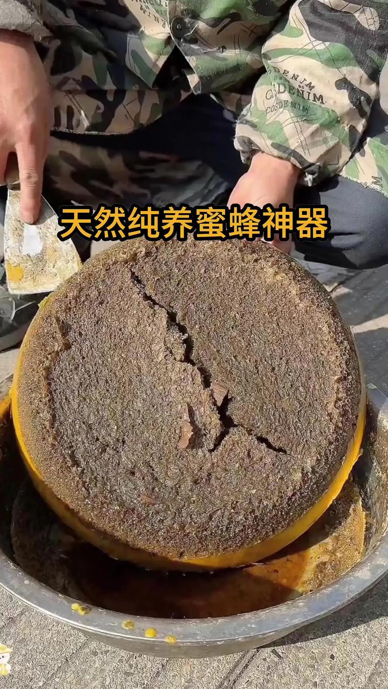 诱蜂蜡真的能诱蜂吗缩略图