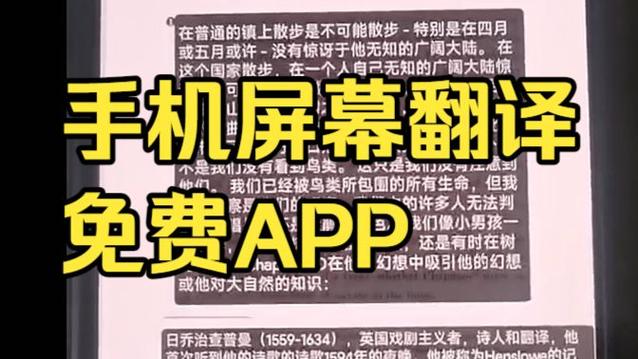 翻译悬浮球app免费游戏截图