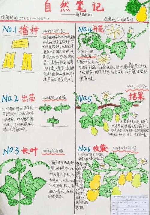 葫芦5月份种的可以长出来吗图标