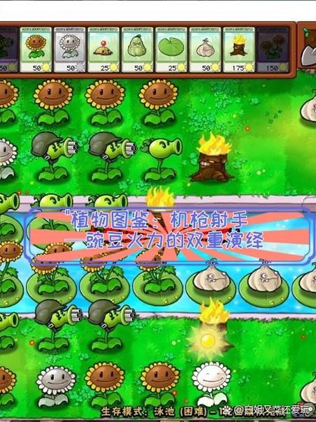 植物大战僵尸原版自带修改器图标