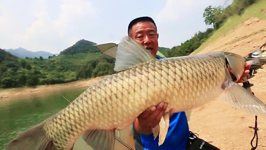钓鱼大师排名李大毛