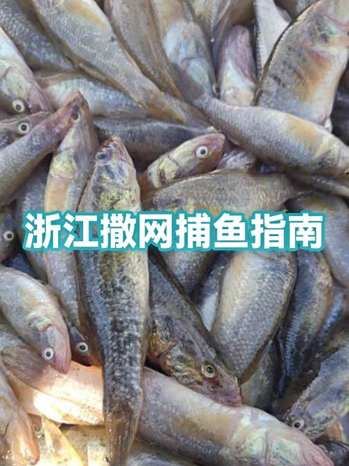 开一个渔场需要多少钱缩略图
