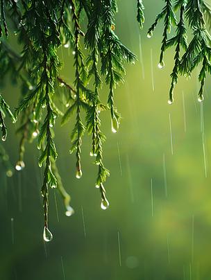 春雨视频素材缩略图