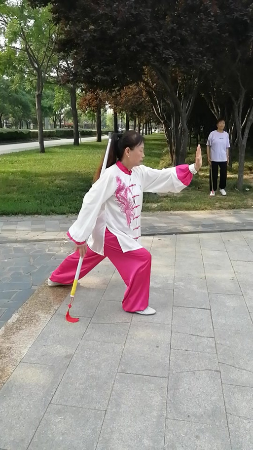 吴阿敏八十五式太极拳图标