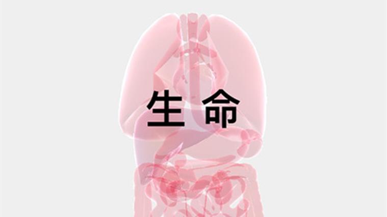 生命模拟器life最新版本缩略图