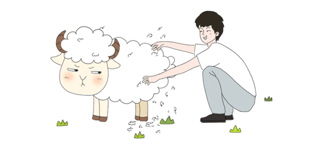 薅羊毛了游戏截图