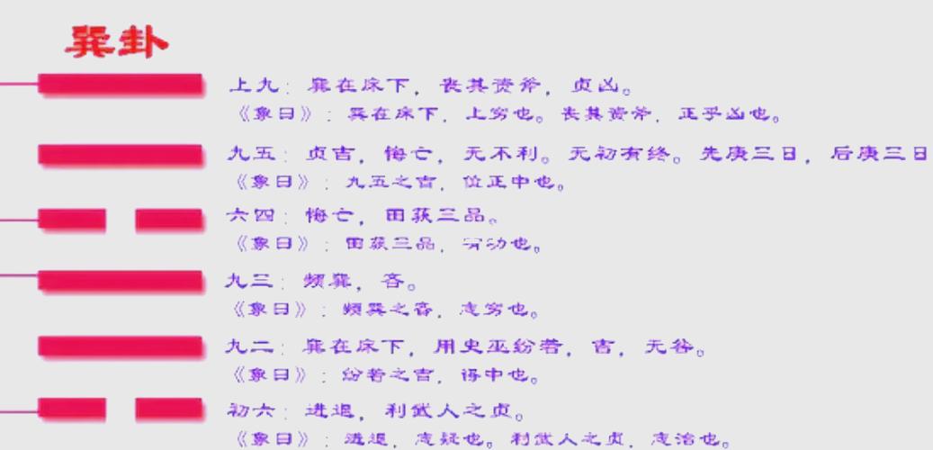 易经巽卦图标