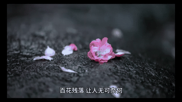 花落0.27.0轻量直装缩略图