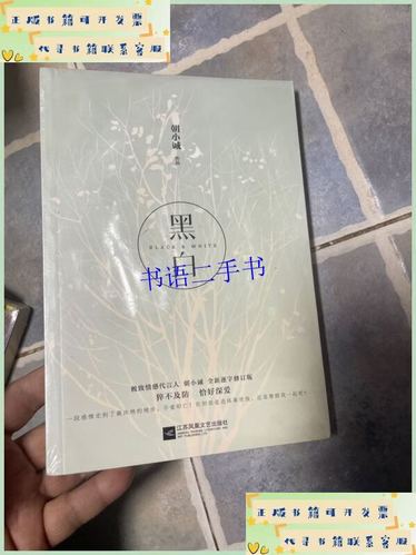 黑白小说朝小诚笔趣阁缩略图