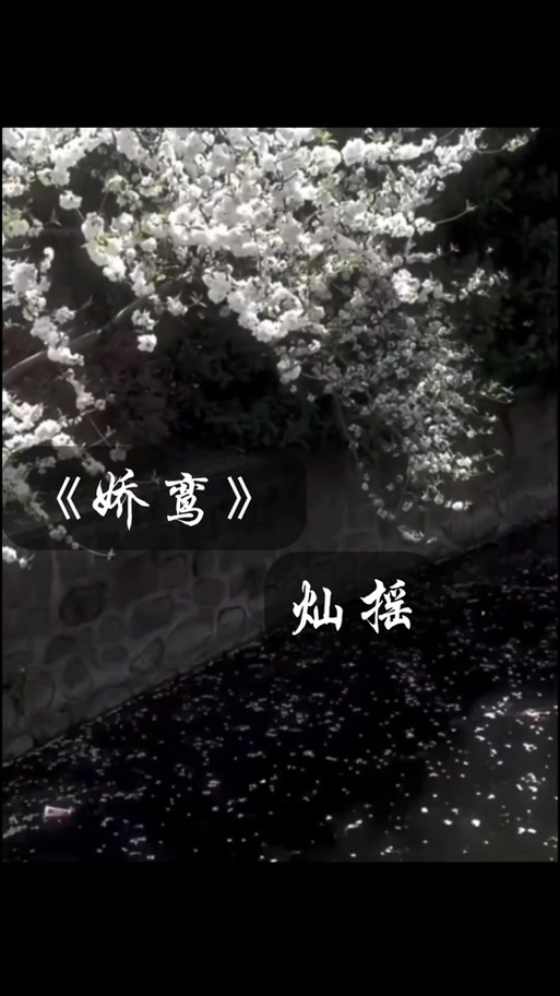 《娇鸾》作者:灿摇TXT下载缩略图