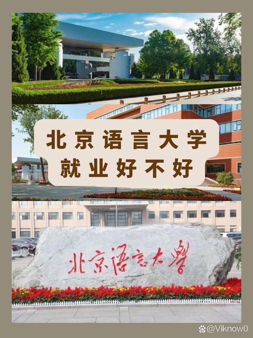 北语就业率最高的专业缩略图