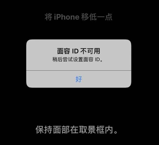 苹果手机无法识别面容缩略图