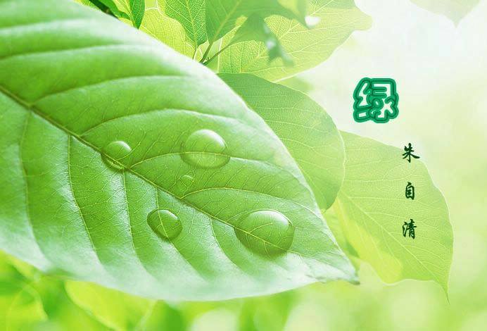 朱自清绿的阅读答案缩略图