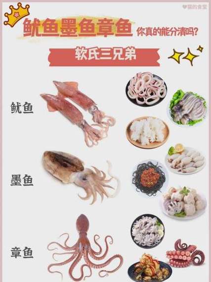 章鱼和鱿鱼是一种鱼吗图标