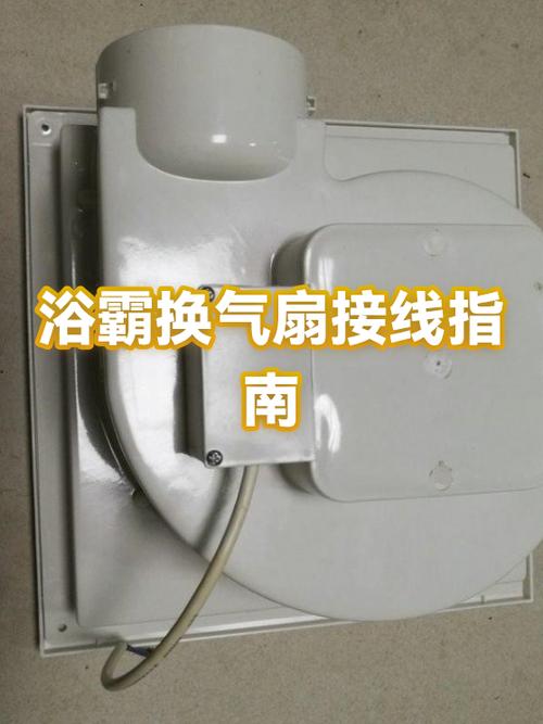 浴霸换气扇能单独换吗游戏截图