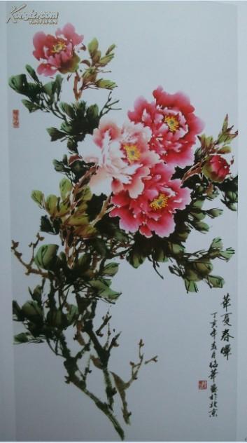 牡丹花信息图标