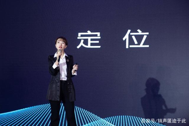 国家为什么要搞蚂蚁金服