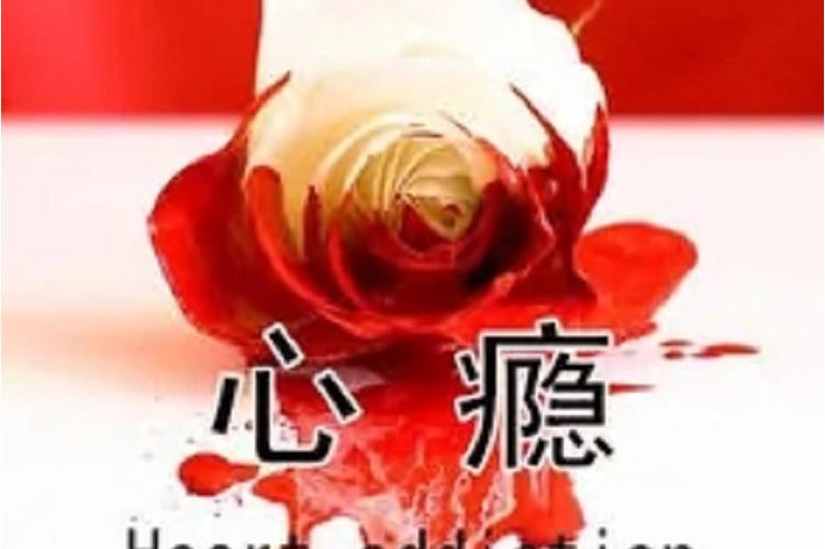 心瘾 作者:弱水千流缩略图