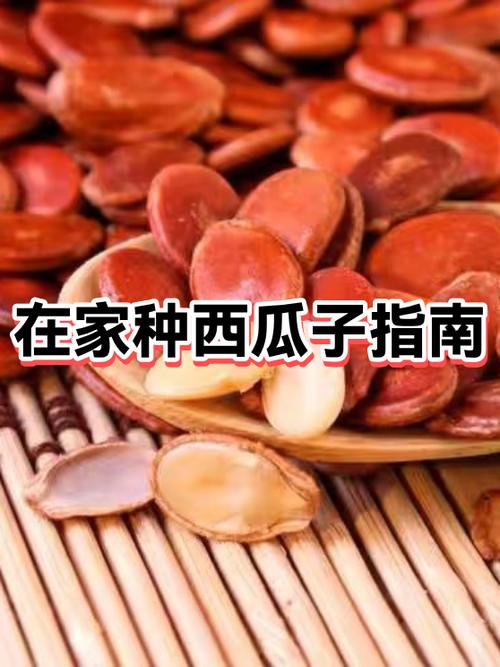 西瓜子为什么不能吃